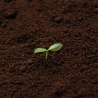 キッカケは子孫を残す本能・・・?